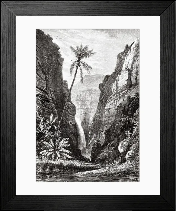 Framed Print : La Bernica forest, Reunion island Framed Print : La Bernica forest, Reunion island
