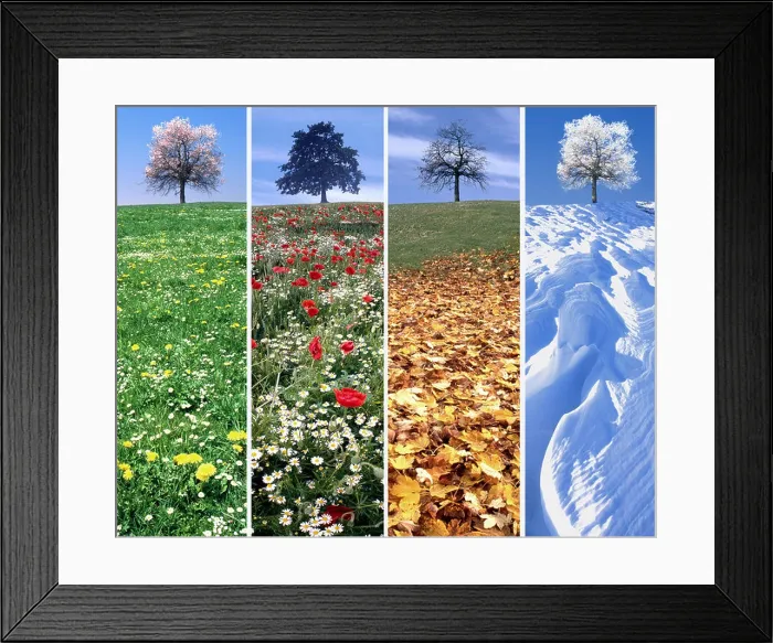 Framed Print : CONCEPT DESIGN: The Four Seasons Framed Print : CONCEPT DESIGN: The Four Seasons