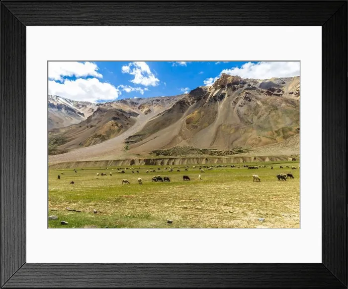 Framed Print : Various views of the Manali Leh Highway Framed Print : Various views of the Manali Leh Highway