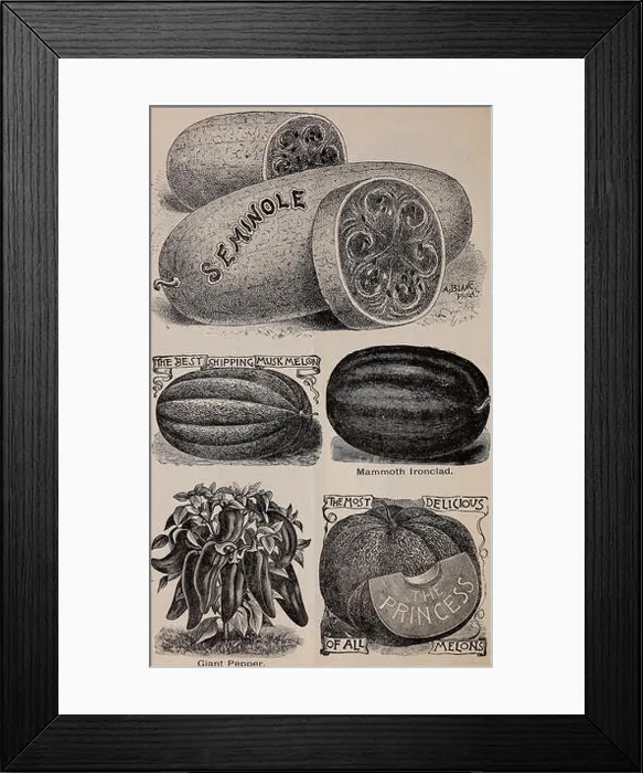Framed Print : Topeka Seed House : fresh garden seeds Framed Print : Topeka Seed House : fresh garden seeds