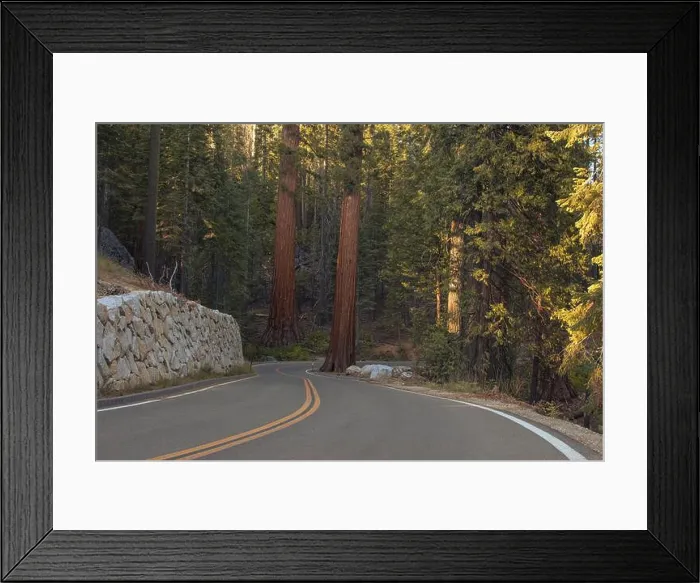 Framed Print : Autumnal landscape from Yosemite National Park, California, United States. High quality photo Framed Print : Autumnal landscape from Yosemite National Park, California, United States. High quality photo