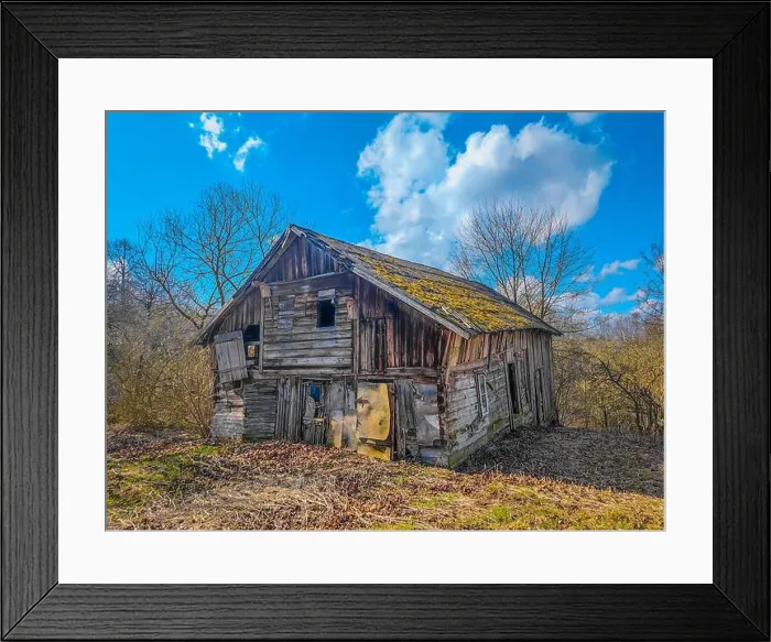 Framed Print : Abandoned 19th century wooden house with a mossy roof in a rural field in Lithuania, Europe