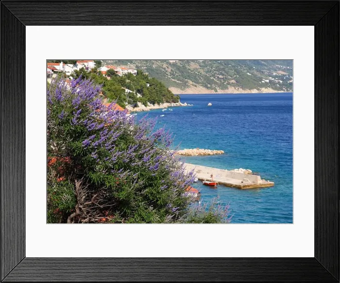 Framed Print : Lavender flowers in Makarska riviera region of Croatia. Adriatic Sea