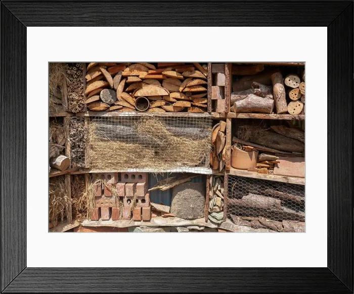 Framed Print : The insect hotel in the Lost Gardens of Heligan, Pentewan, St.Austell, Cornwall, UK Framed Print : The insect hotel in the Lost Gardens of Heligan, Pentewan, St.Austell, Cornwall, UK