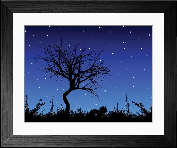 Framed Print : Silhouette of a tree against a starry sky Framed Print : Silhouette of a tree against a starry sky