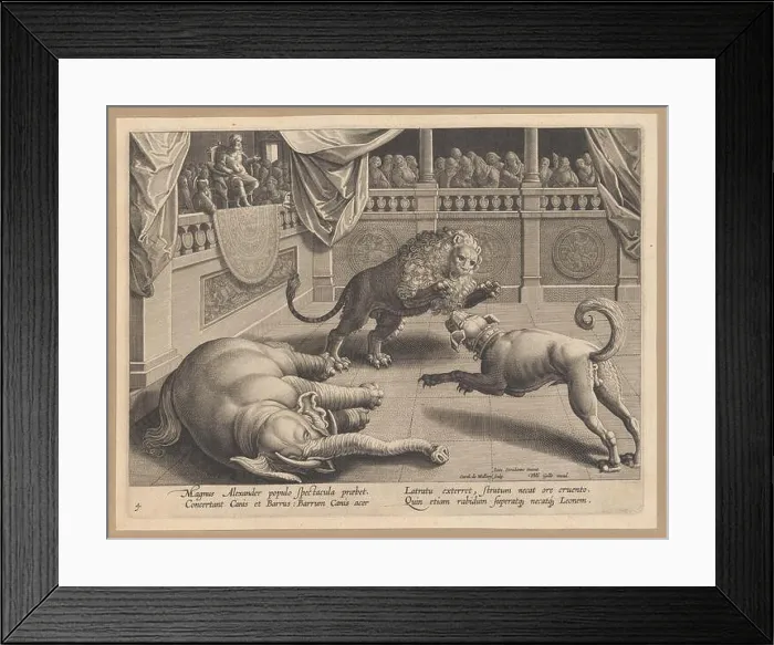 Framed Print : Venationes ferarum avium, piscium Framed Print : Venationes ferarum avium, piscium