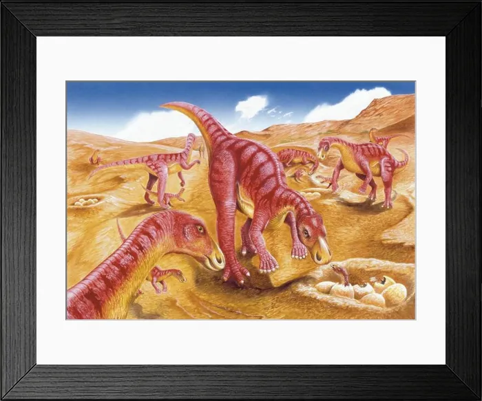 Framed Print : Palaeozoology - Cretaceous period - Dinosaurs - Gilmoreosaurus - Art work