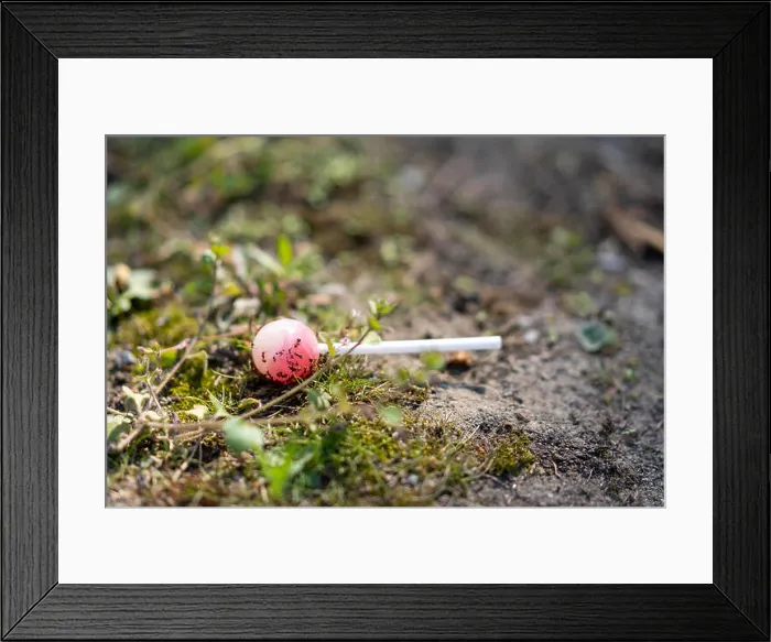 Framed Print : A lollipop lies on the ground and gets eaten by ants Framed Print : A lollipop lies on the ground and gets eaten by ants