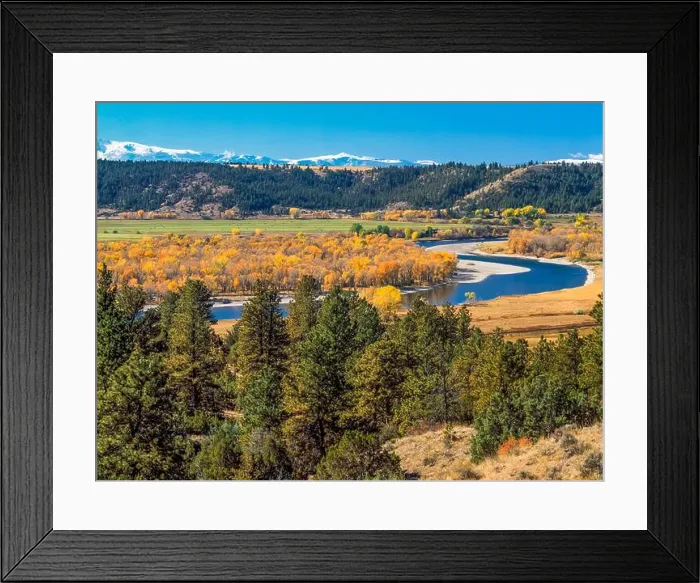 Framed Print : fall colors along the yellowstone river and distant beartooth mountains near columbus, montana Framed Print : fall colors along the yellowstone river and distant beartooth mountains near columbus, montana