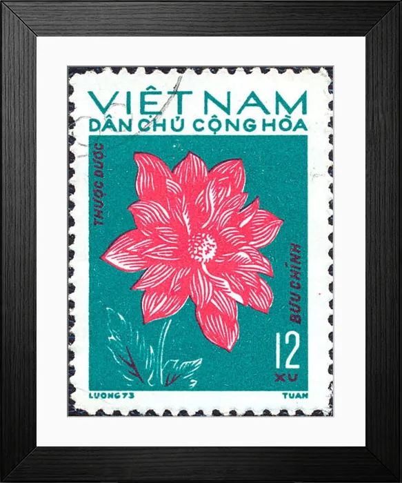 Framed Print : Vietnam - 1973: Postage stamp printed in Vietnam shows red flower. Stamp printed by Vietnamese Post circa 1973 Framed Print : Vietnam - 1973: Postage stamp printed in Vietnam shows red flower. Stamp printed by Vietnamese Post circa 1973
