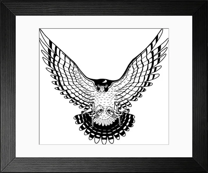 Framed Print : Peregrine Falcon Vector Illustration Framed Print : Peregrine Falcon Vector Illustration