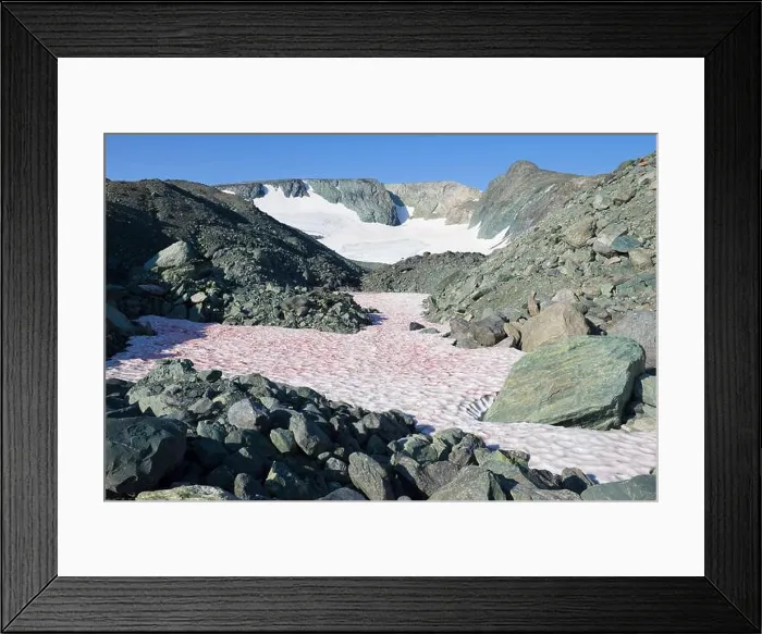 Framed Print : At IGAN glacier. Polar Ural Mountains, Russia Framed Print : At IGAN glacier. Polar Ural Mountains, Russia