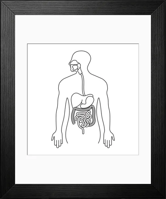 Framed Print : Human gastrointestinal tract or digestive system line art icon for apps and websites Framed Print : Human gastrointestinal tract or digestive system line art icon for apps and websites