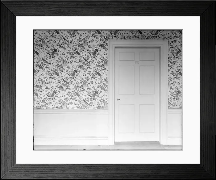 Framed Print : Waltham, interior detail, wallpaper in peacock design Framed Print : Waltham, interior detail, wallpaper in peacock design
