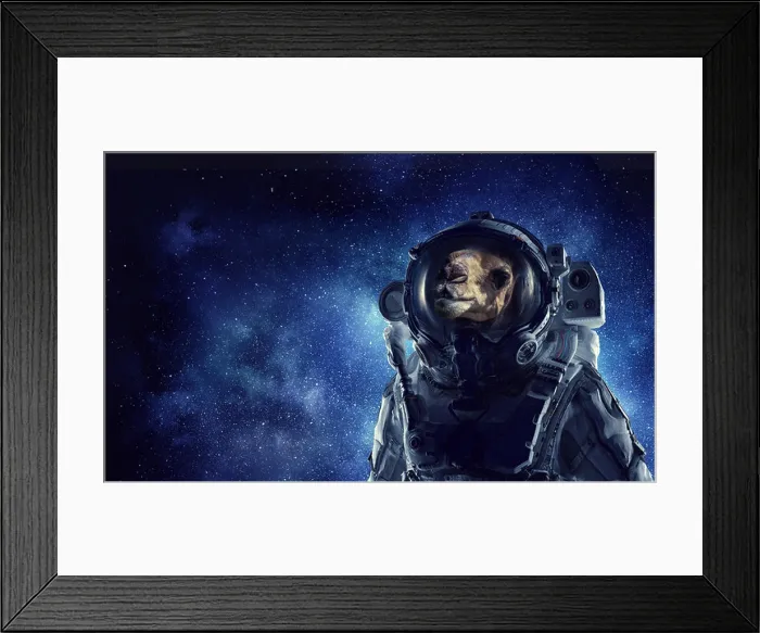 Framed Print : Astronaut camel wearing space suit against starry sky. Mixed media Framed Print : Astronaut camel wearing space suit against starry sky. Mixed media