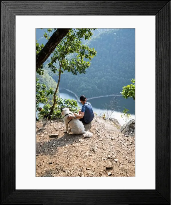 Framed Print : man and dog on mountain top overlooking a lake