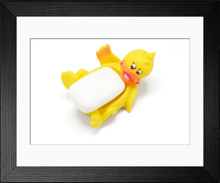 Framed Print : Duck Soap Dish