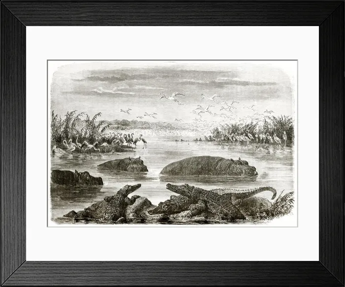 Framed Print : Old view of lagoon near Pongola, South Africa. By Janet-Lange after Baldwin, publ. on le Tour du Monde, Paris, 1863 Framed Print : Old view of lagoon near Pongola, South Africa. By Janet-Lange after Baldwin, publ. on le Tour du Monde, Paris, 1863
