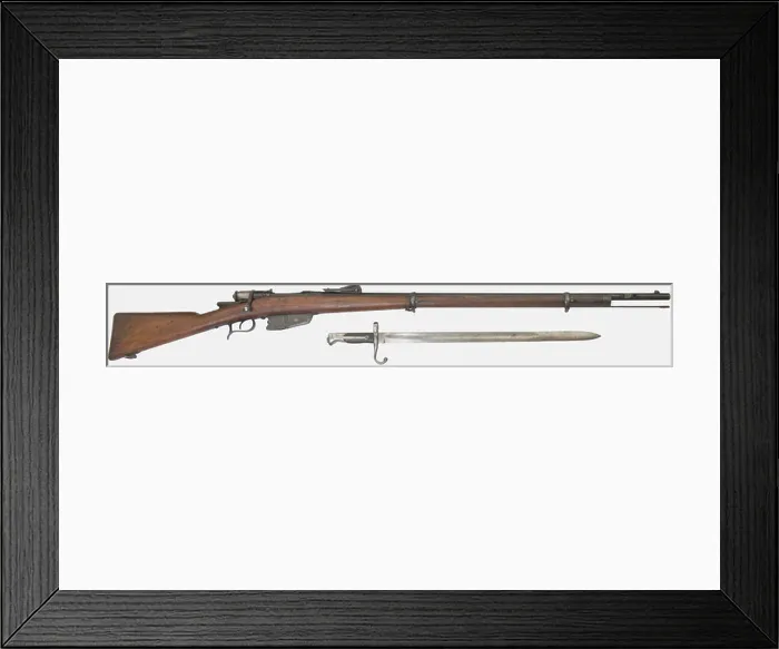 Framed Print : An Italian Vetterli rifle pattern 1871 / 87 / 16 Framed Print : An Italian Vetterli rifle pattern 1871 / 87 / 16