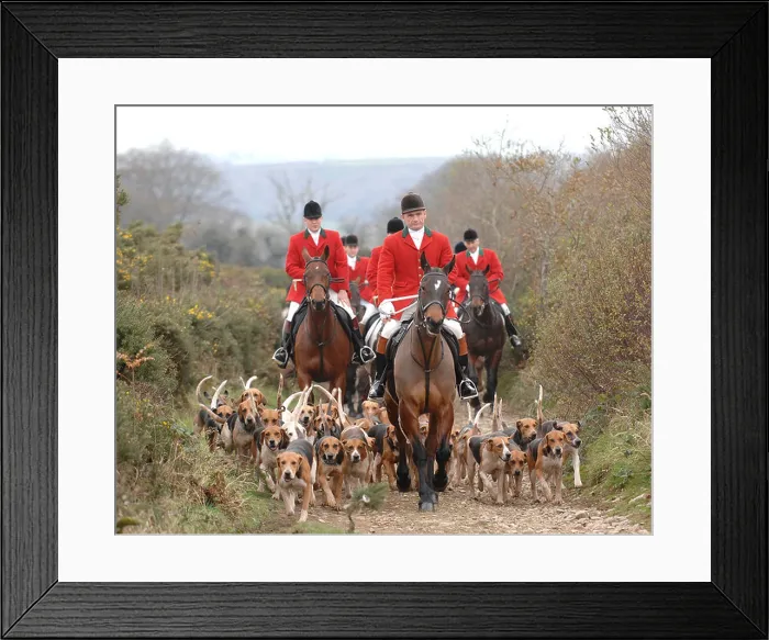 Framed Print : fox hunting, LAMERTON FOXHOUNDs Framed Print : fox hunting, LAMERTON FOXHOUNDs