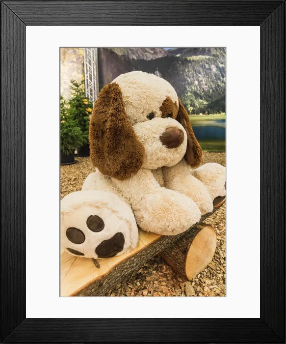 Framed Print : sad big stuffed white dog doll on a wooden bench, switzerland Framed Print : sad big stuffed white dog doll on a wooden bench, switzerland