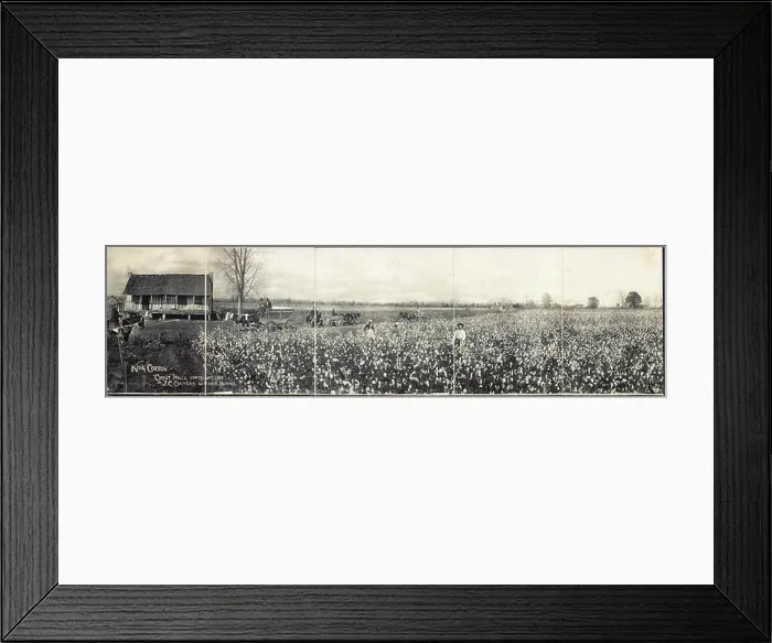 Framed Print : Original panoramic photograph entitled Framed Print : Original panoramic photograph entitled