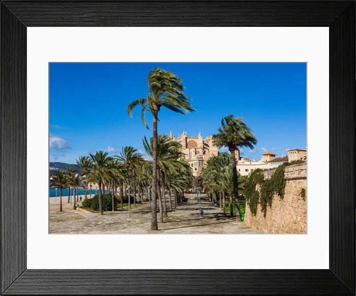 Framed Print : Palma Cathedral or La Seu, Palma or Palma de Mallorca, Majorca, Mallorca, Balearic Islands, Spain, Europe Framed Print : Palma Cathedral or La Seu, Palma or Palma de Mallorca, Majorca, Mallorca, Balearic Islands, Spain, Europe
