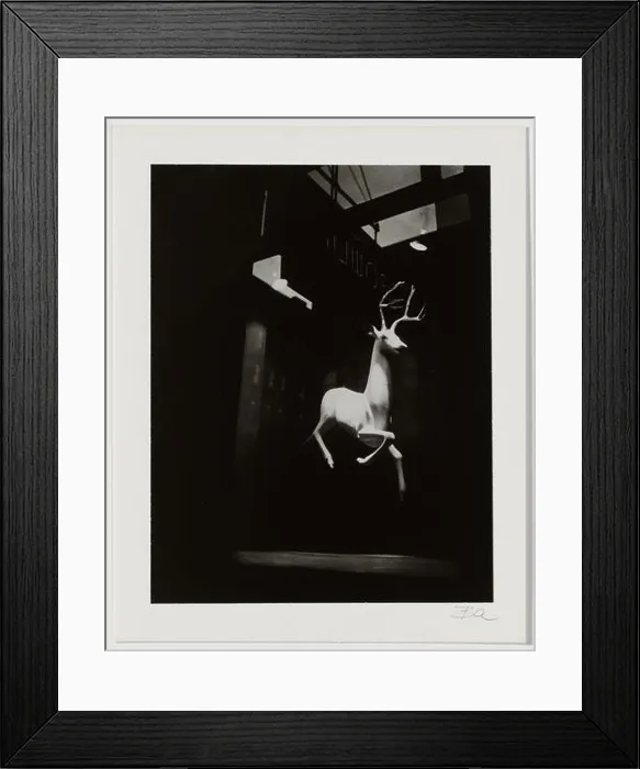 Framed Print : Berenice Abbott, An Industrial Designer's Window, Bleecker Street, New York, 1947, printed 1982, gelatin silver print Framed Print : Berenice Abbott, An Industrial Designer's Window, Bleecker Street, New York, 1947, printed 1982, gelatin silver print