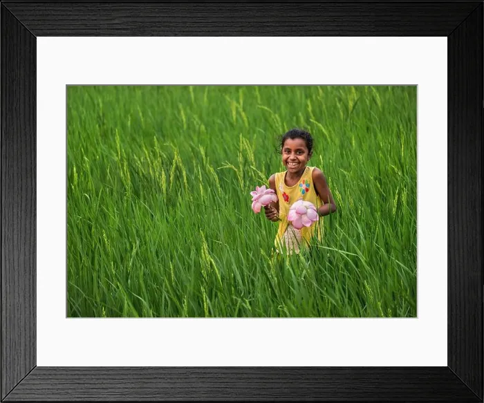 Framed Print : Bogura, Bangladesh - 29 March 2022: View of a girl amidst a sea of verdant rice paddies Framed Print : Bogura, Bangladesh - 29 March 2022: View of a girl amidst a sea of verdant rice paddies