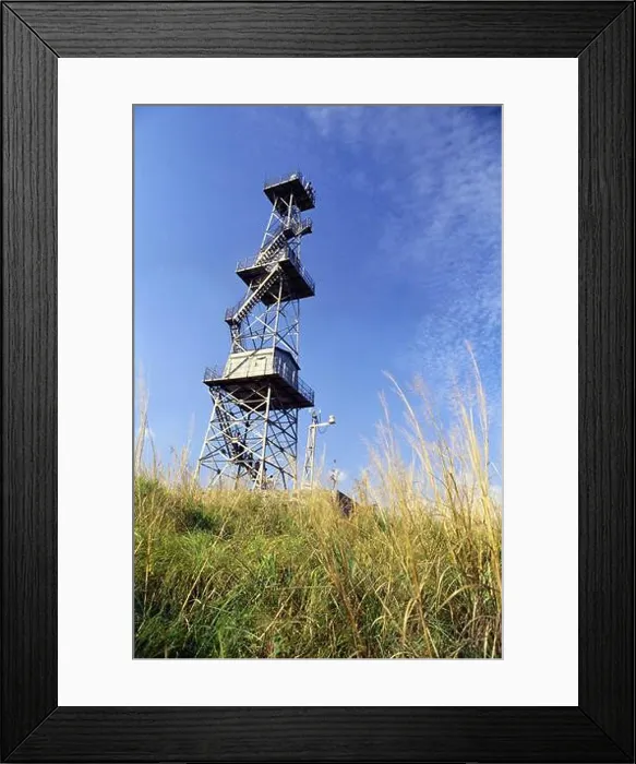 Framed Print : Fire watch tower in Silent Valley tropical rain forest, Kerala, India, Asia Framed Print : Fire watch tower in Silent Valley tropical rain forest, Kerala, India, Asia