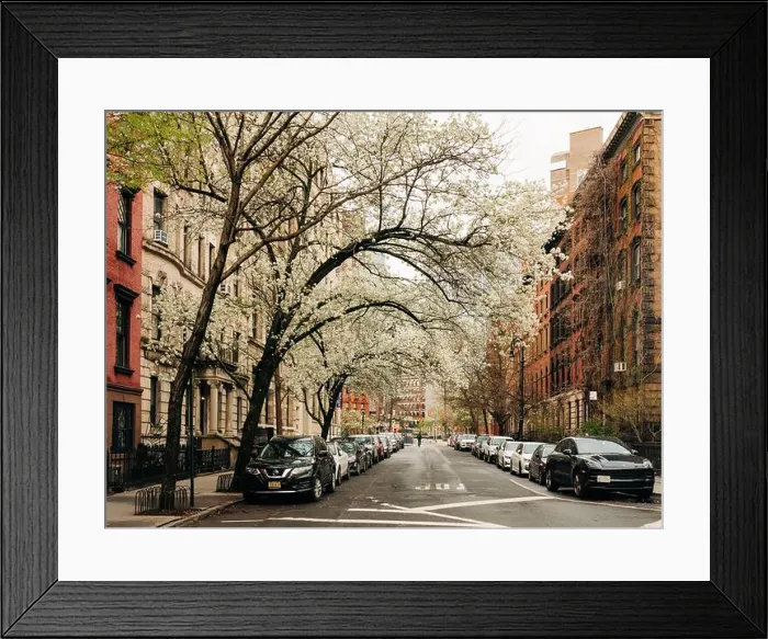Framed Print : Stuyvesant Street in the spring, in the East Village, Manhattan, New York City Framed Print : Stuyvesant Street in the spring, in the East Village, Manhattan, New York City