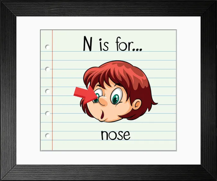 Framed Print : Flashcard letter N is for nose Framed Print : Flashcard letter N is for nose