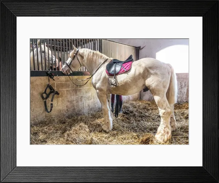 Framed Print : THE MAISON DU CHEVAL BOULONNAIS DEVOTED TO BOULONNAISE HORSES, FERME DE SUZE FARM, SAMER, (62) PAS-DE-CALAIS, FRANCE Framed Print : THE MAISON DU CHEVAL BOULONNAIS DEVOTED TO BOULONNAISE HORSES, FERME DE SUZE FARM, SAMER, (62) PAS-DE-CALAIS, FRANCE