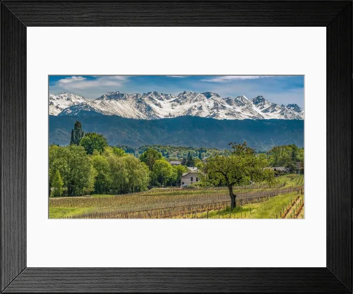 Framed Print : Apremont (south-eastern France): landscape with vineyards in spring under the blue sky Framed Print : Apremont (south-eastern France): landscape with vineyards in spring under the blue sky