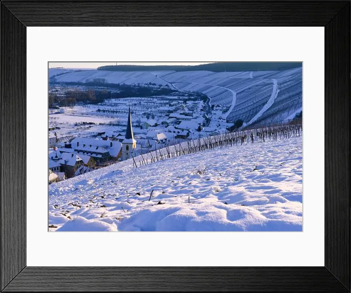 Framed Print : Wine village Escherndorf amid the vineyards on the Volkacher Mainschleife in winter, Unterfanken, Bavaria, Germany Framed Print : Wine village Escherndorf amid the vineyards on the Volkacher Mainschleife in winter, Unterfanken, Bavaria, Germany