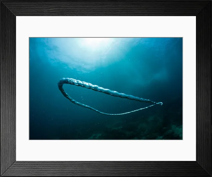 Framed Print : Bubble Ring made by Scuba Diver underwater, Raja Ampat, West Papua, Indonesia Framed Print : Bubble Ring made by Scuba Diver underwater, Raja Ampat, West Papua, Indonesia
