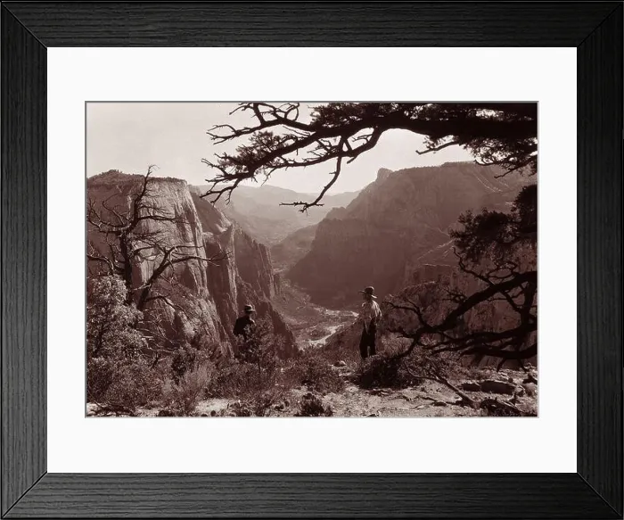 Framed Print : View through trees down Zion Canyon from east side of Observation Point