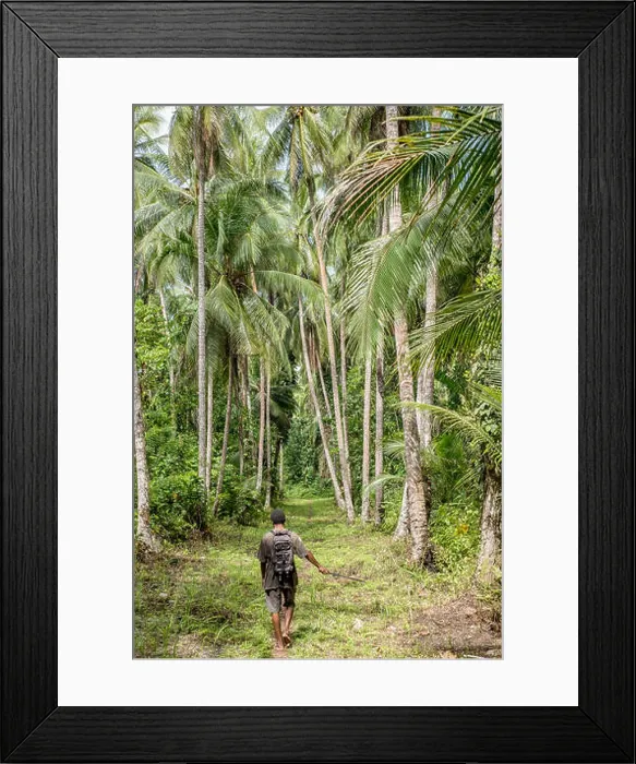 Framed Print : A path in the rainforest among high palm trees, Mushu Island, Papua New Guinea Framed Print : A path in the rainforest among high palm trees, Mushu Island, Papua New Guinea
