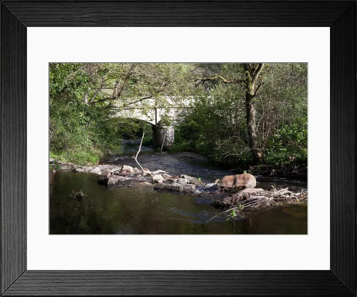 Framed Print : steps bridge woods near dunsford Framed Print : steps bridge woods near dunsford