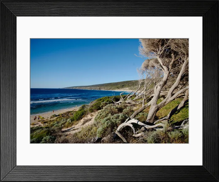 Framed Print : Australia, Margaret River, Yallingup, Trees at beach