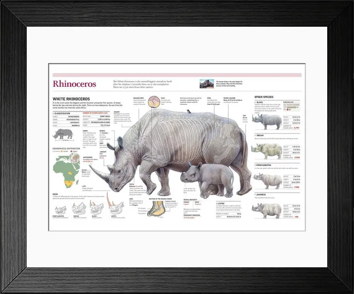 Framed Print : Infographics of the distribution Framed Print : Infographics of the distribution