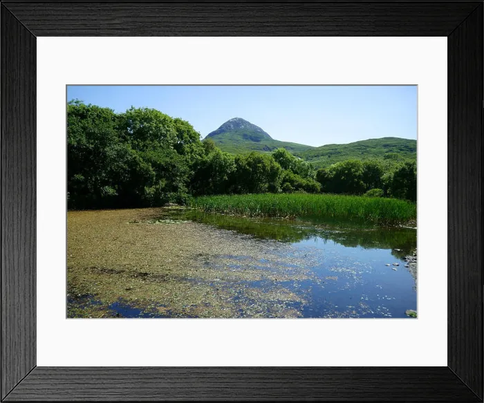 Framed Print : Pond with reed near visitor center and Dimond Hill, Connemara National Park, Ireland Framed Print : Pond with reed near visitor center and Dimond Hill, Connemara National Park, Ireland