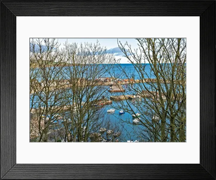 Framed Print : STONEHAVEN ABERDEENSHIRE SCOTLAND THE COWIE HARBOUR SEEN THROUGH TREES IN WINTER Framed Print : STONEHAVEN ABERDEENSHIRE SCOTLAND THE COWIE HARBOUR SEEN THROUGH TREES IN WINTER