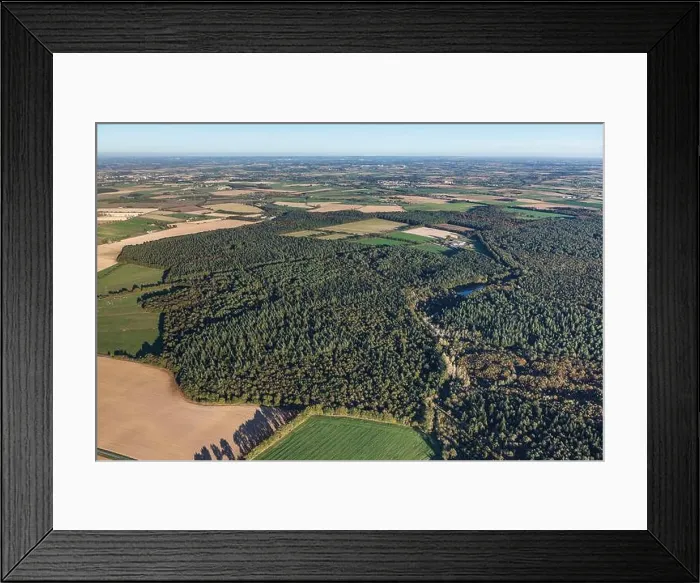 Framed Print : France, Vendee, Les Brouzils, Grasla (or Gralas) state owned forest was a refuge during the Vendee war (aerial view) Framed Print : France, Vendee, Les Brouzils, Grasla (or Gralas) state owned forest was a refuge during the Vendee war (aerial view)