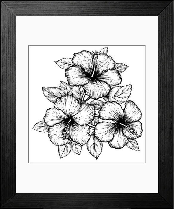 Framed Print : Hand drawn tropical hibiscus flower with leaves Framed Print : Hand drawn tropical hibiscus flower with leaves