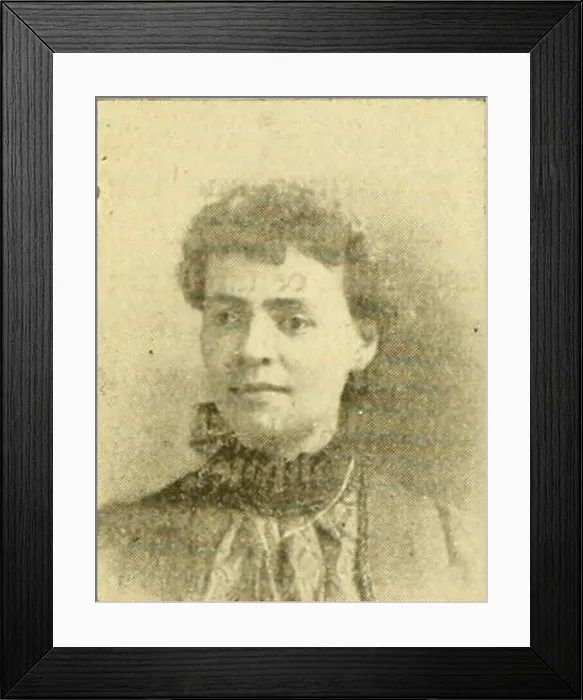 Framed Print : The Bee-keepers review. Bee culture