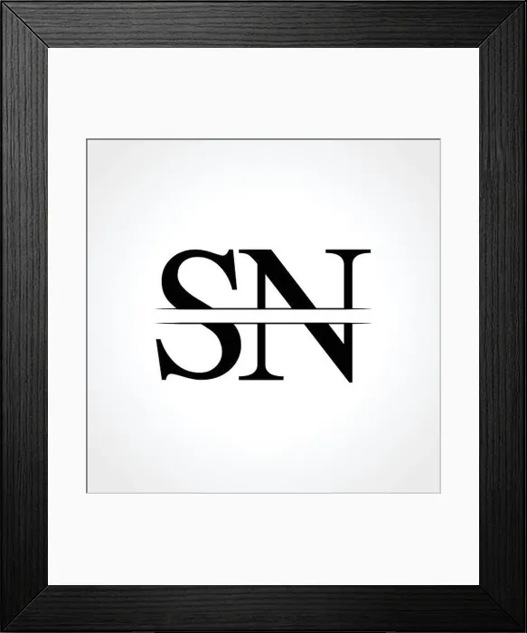 Framed Print : Initial Letter SN Logo Design Vector Template. SN Letter Logo Design Framed Print : Initial Letter SN Logo Design Vector Template. SN Letter Logo Design