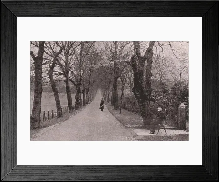 Framed Print : The Avenue, Bellahouston Park Framed Print : The Avenue, Bellahouston Park