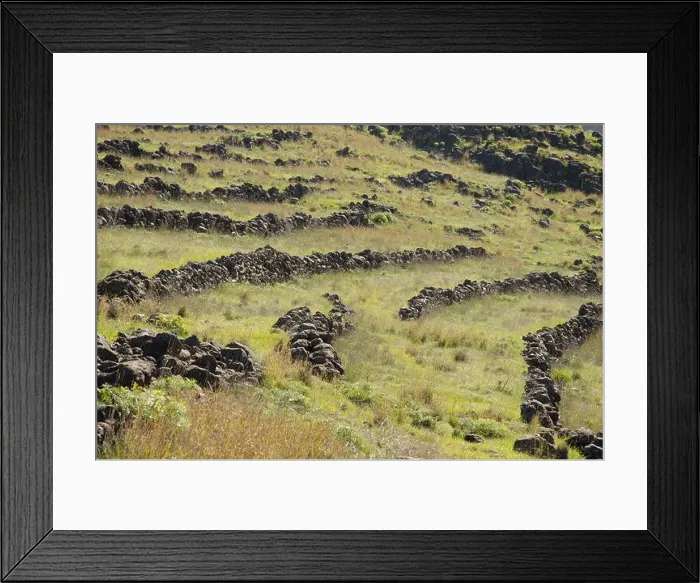 Framed Print : Abandoned cultivation terraces in Los Almacigos. Alajero. La Gomera. Canary Islands. Spain