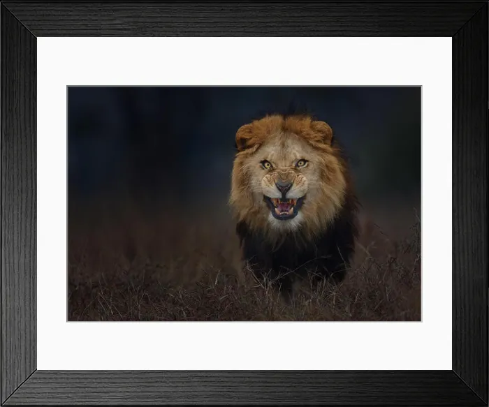 Framed Print : LAHORE SAFARI PARK Framed Print : LAHORE SAFARI PARK